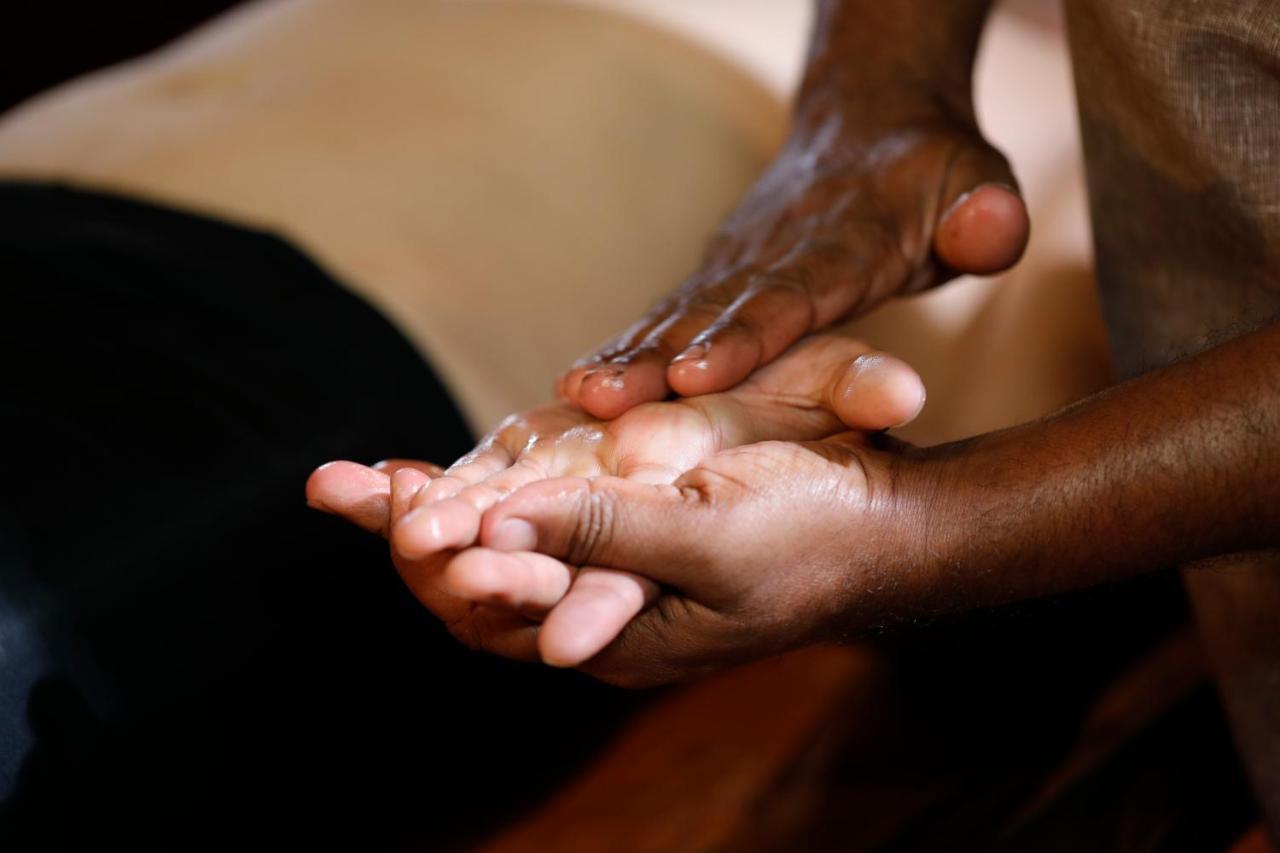 Sanjeevini Life Care Village - A Science Based Non - Invasive Holistic Wellness Destination Kochi Eksteriør billede